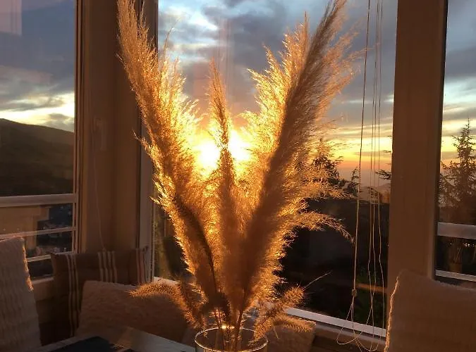 Sierra Nevada Διαμέρισμα