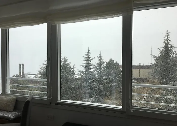 Sierra Nevada Apartment